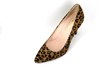 Leopard pumps met Hoge Hakken foto 2